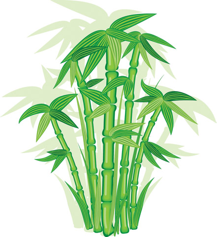 bamboo vector