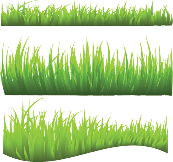 green grass vector