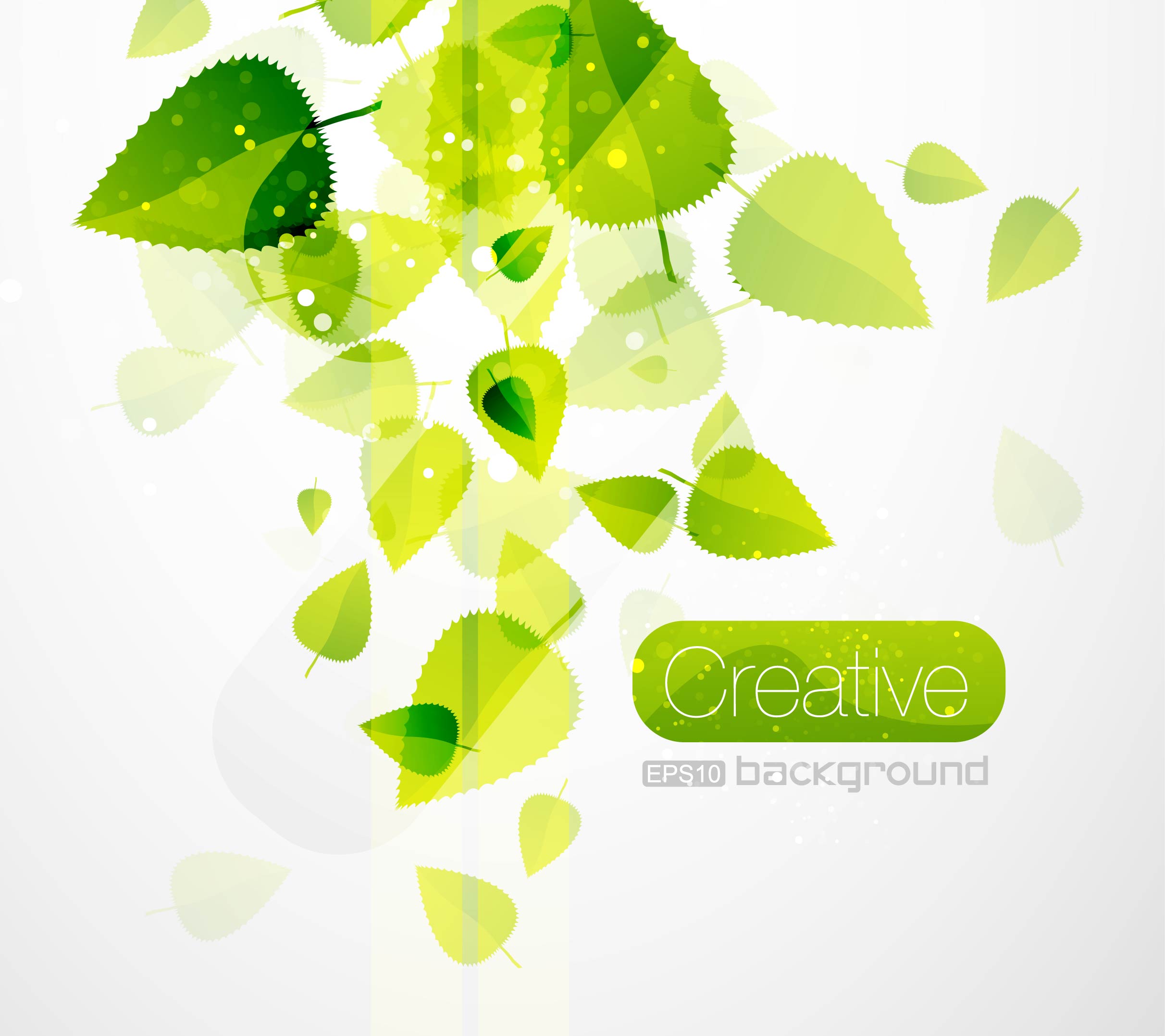 spring green leaves 02 vector