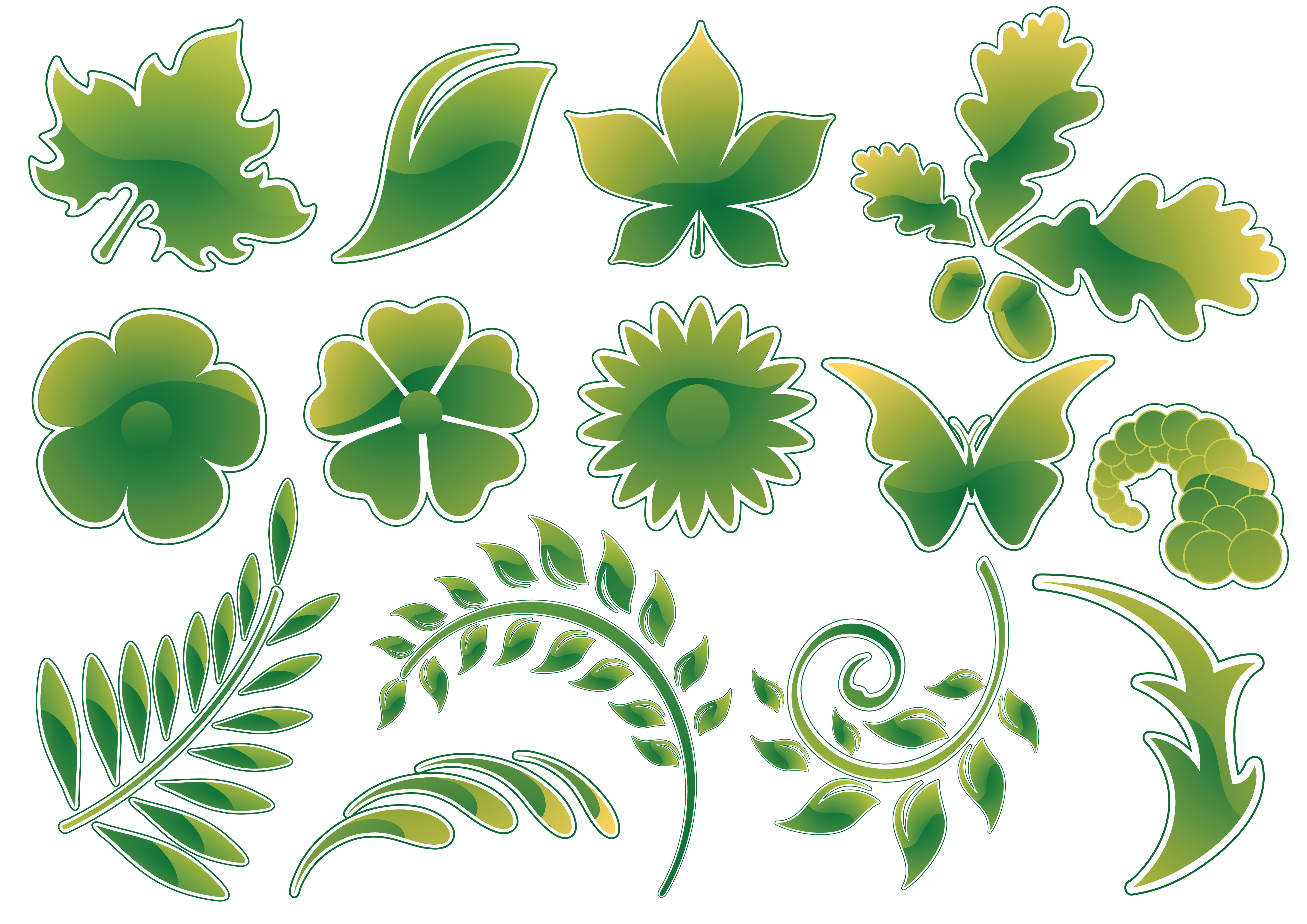 leaves theme vector