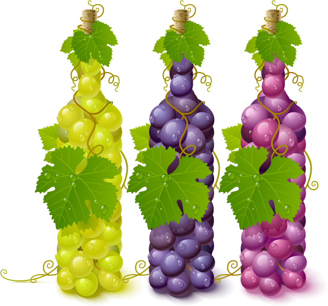 vector bottle filled with grapes