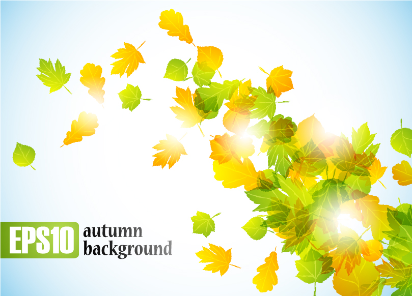 autumn leaves vector 2