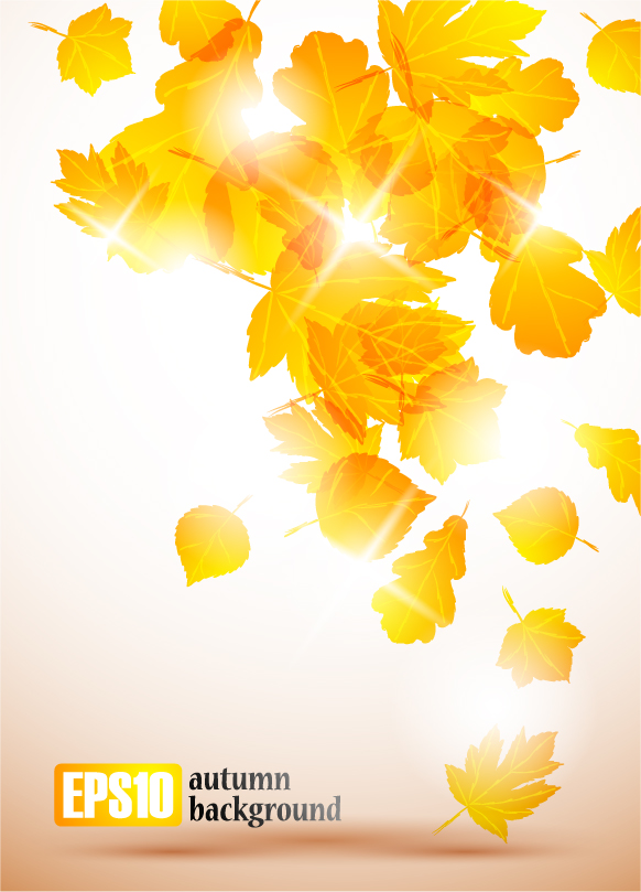 autumn leaves vector