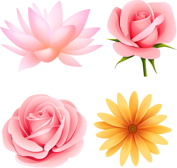 beautiful small flowers vector 4