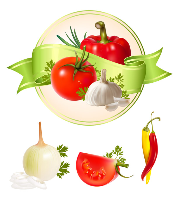 several vegetables vector