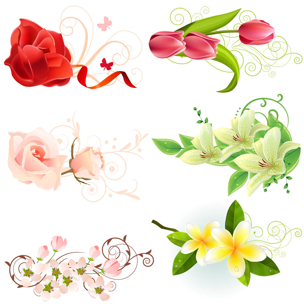 beautiful flowers vector