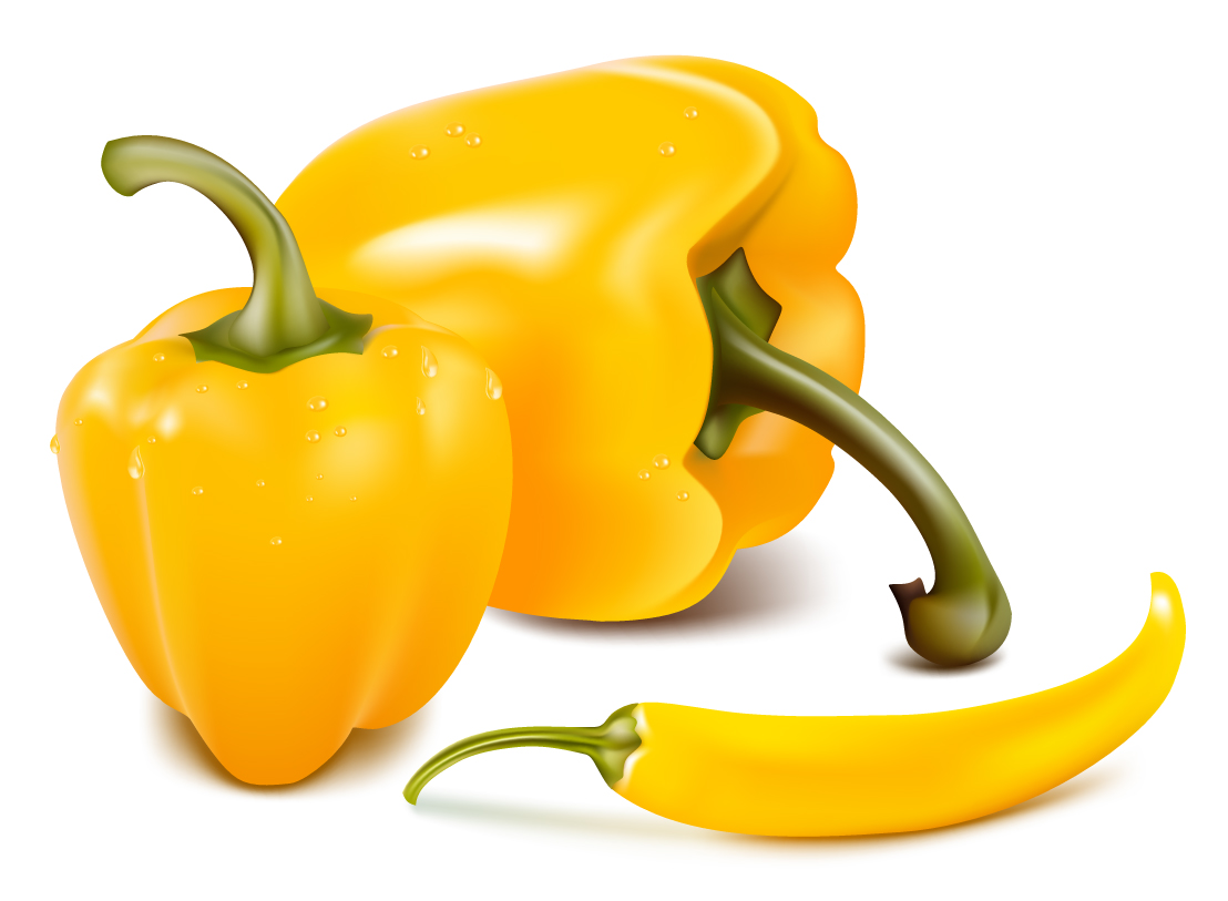 fine chili peppers vector