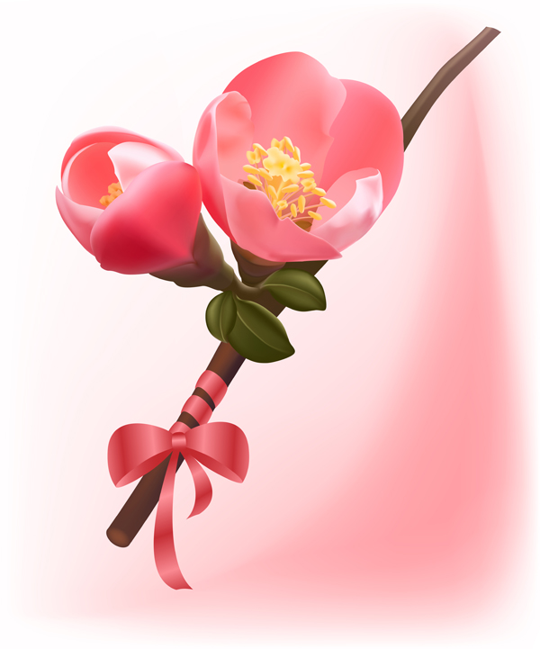 beautiful flowers vector