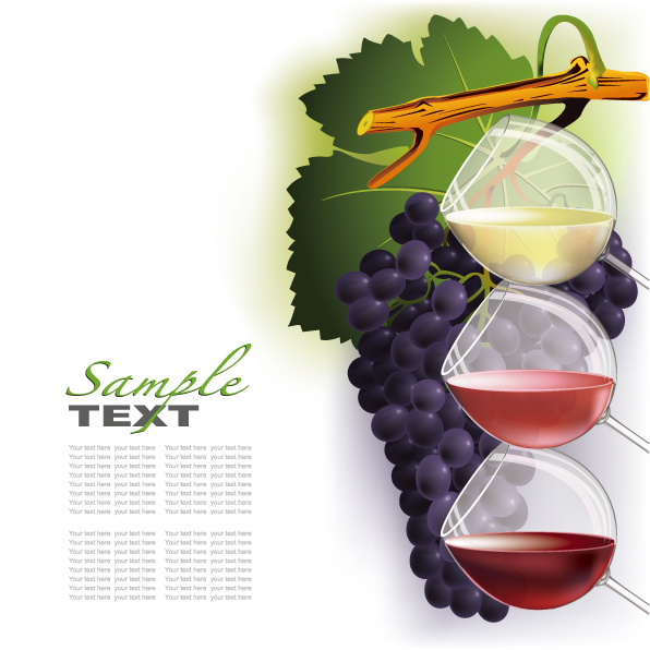 wine and grapes vector