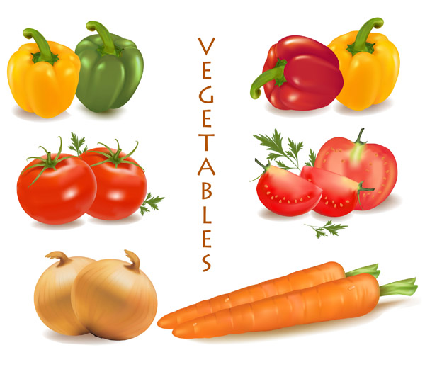 vegetables vector