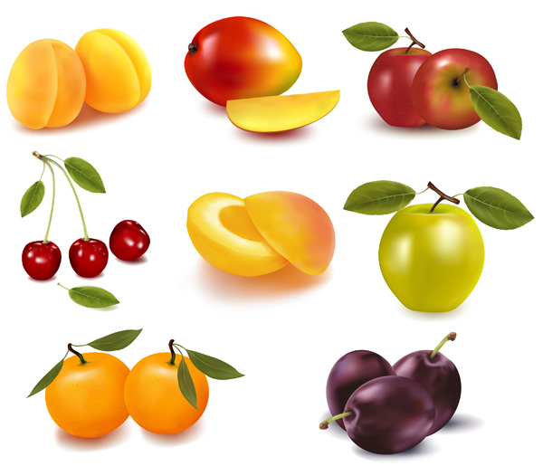 eight kinds of fruits vector