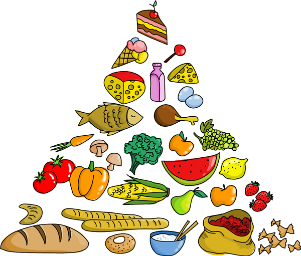 3 food pyramid vector