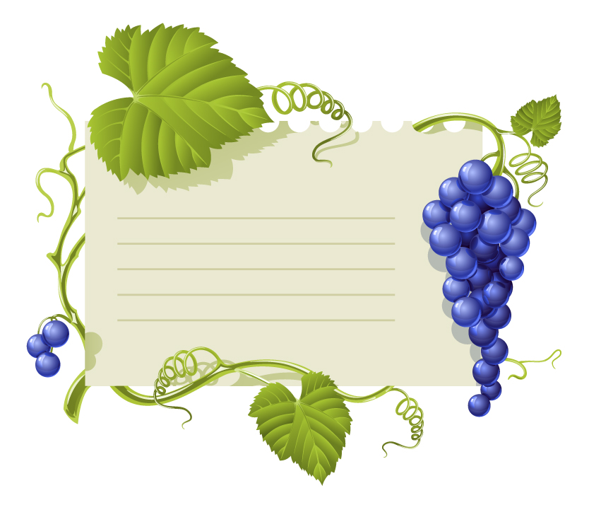 purple grape theme bulletin board vector