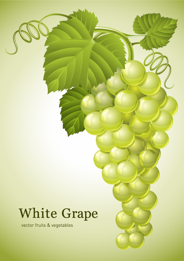 green grapes vector