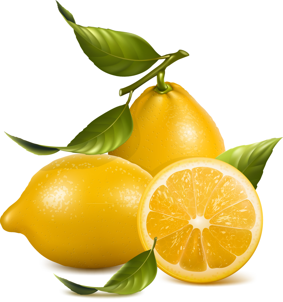 fresh lemon icons design yellow realistic design