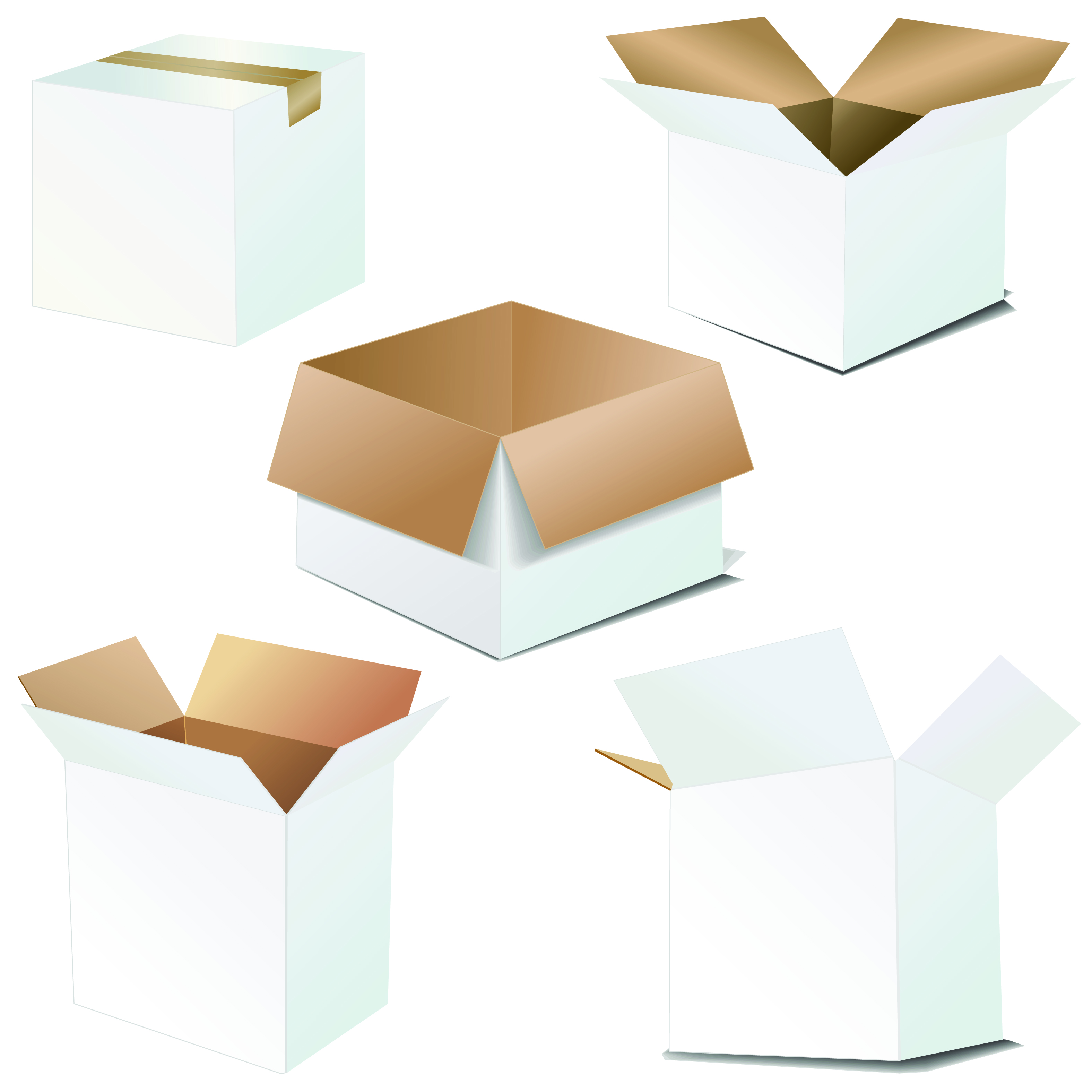 cardboard carton blank vector