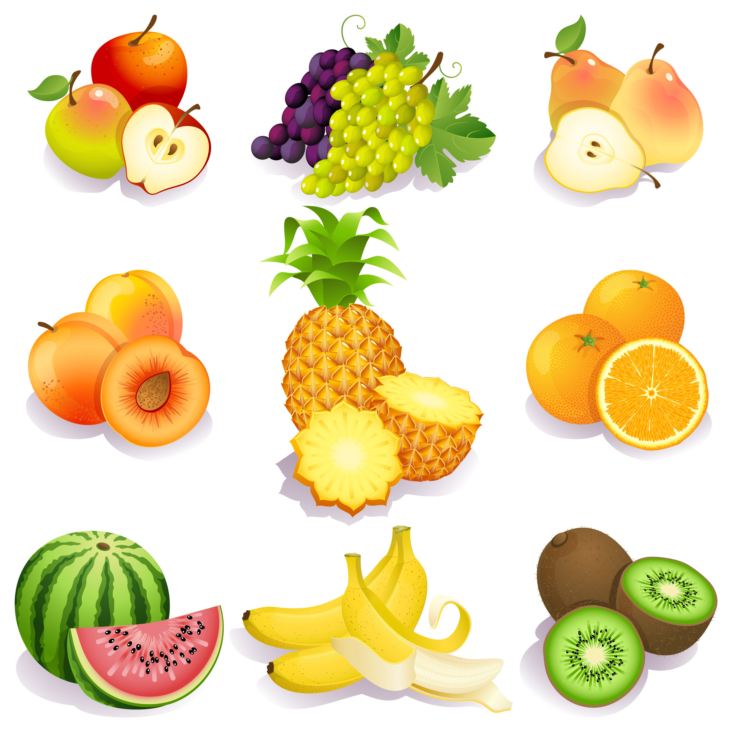 fresh fruits vector