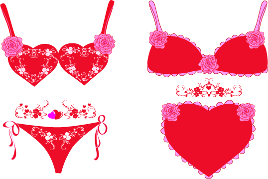 lingerie vector