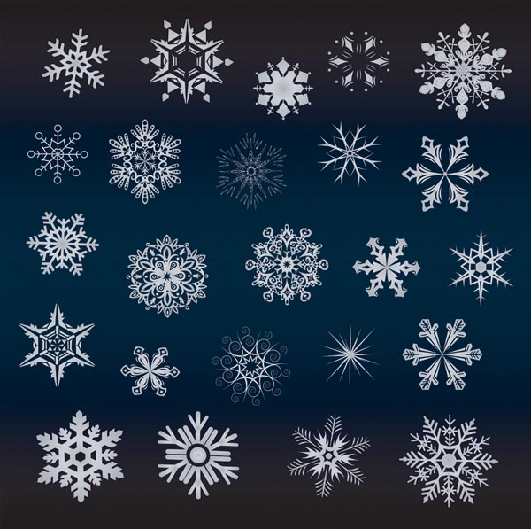 a variety of beautiful snowflakes vector