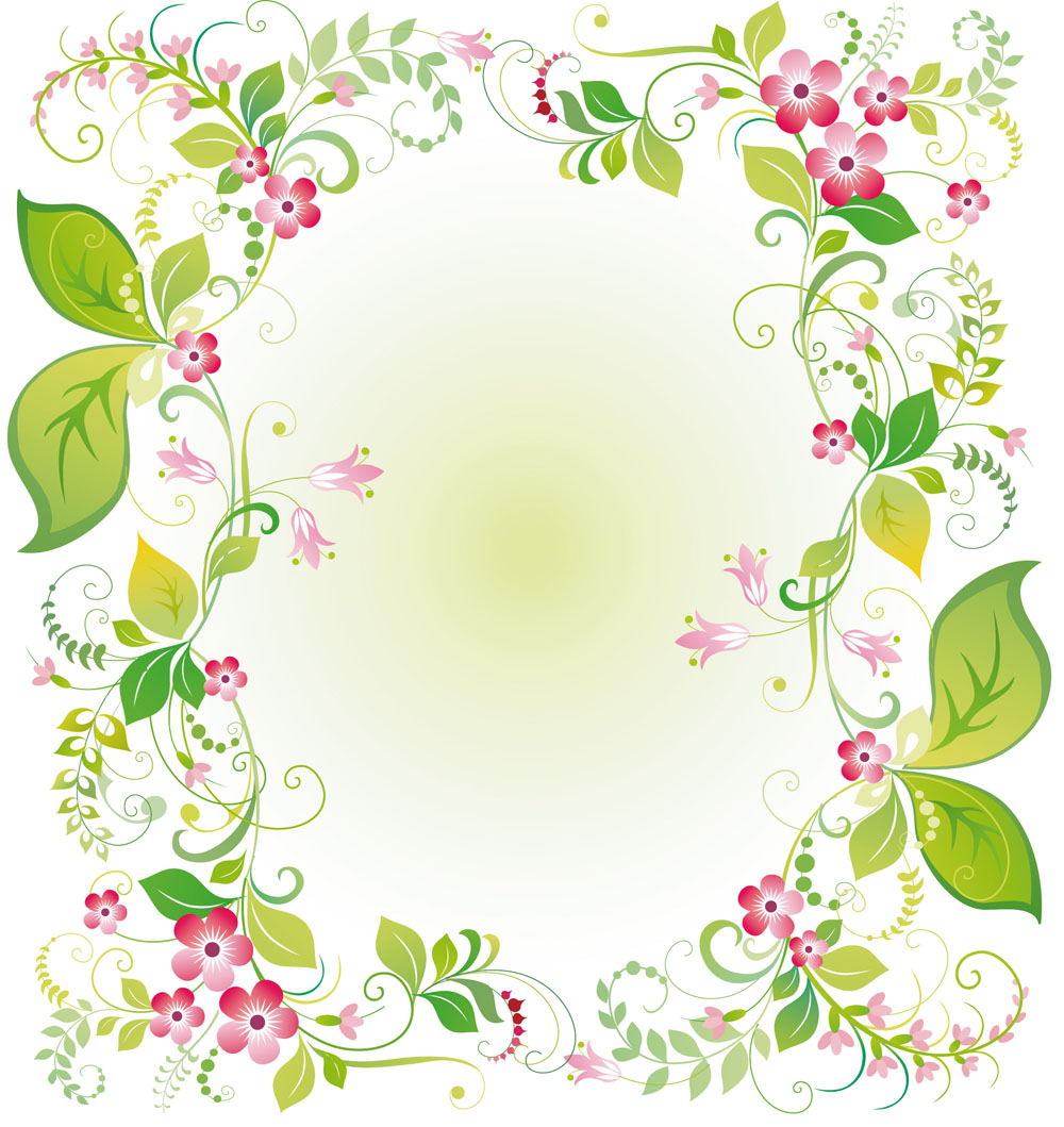 beautiful flowers and lace 03 vector