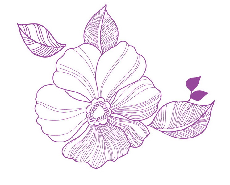 simple case of a variety of flowers leaves vector