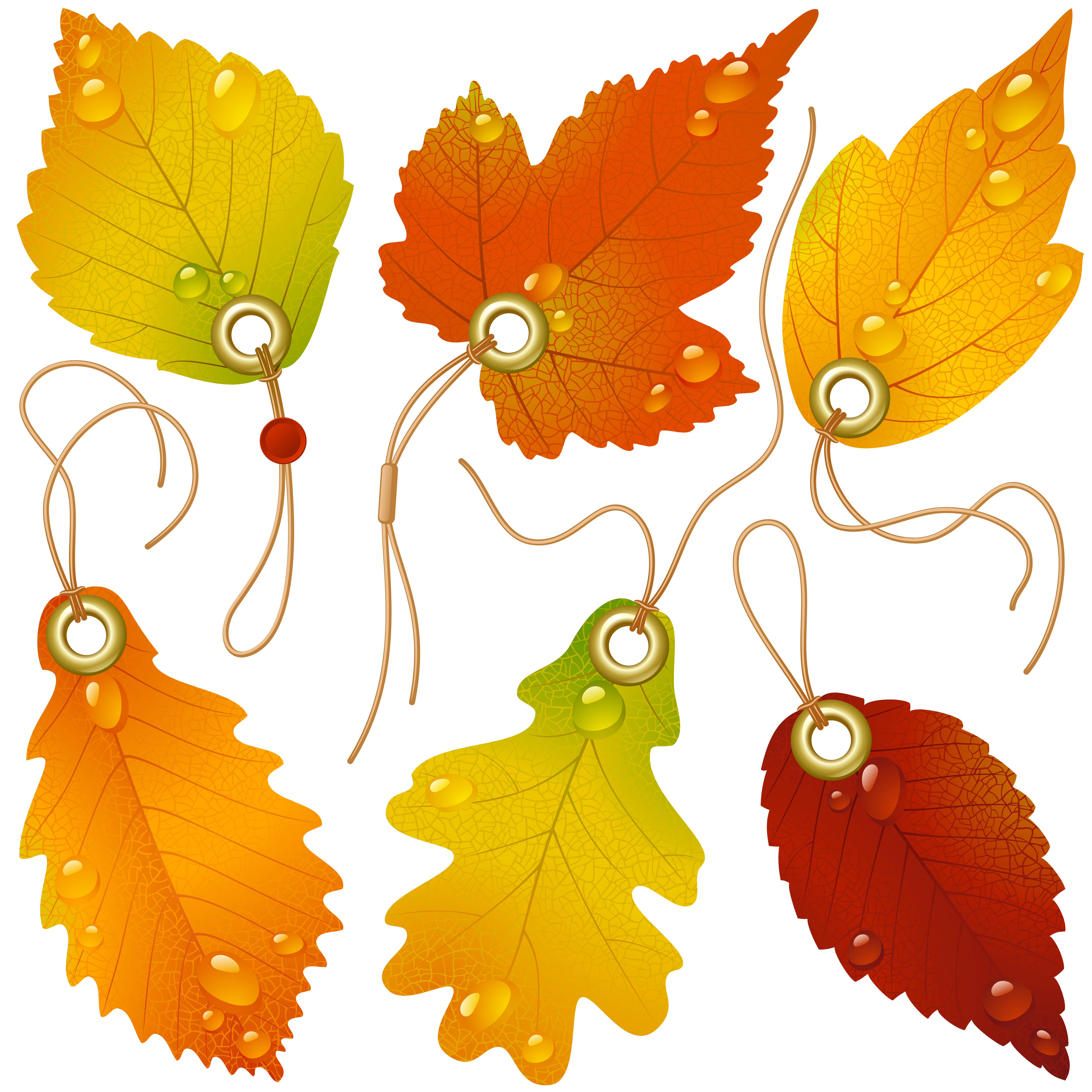 vector beautiful maple leaf bookmark