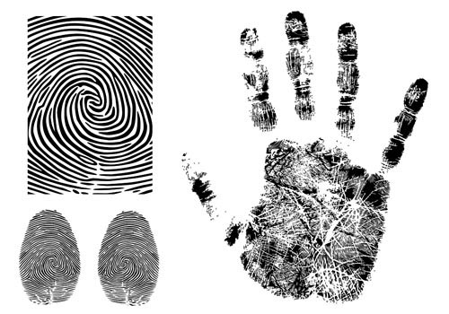 fingerprint vector 3