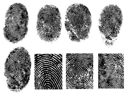 fingerprint vector 1