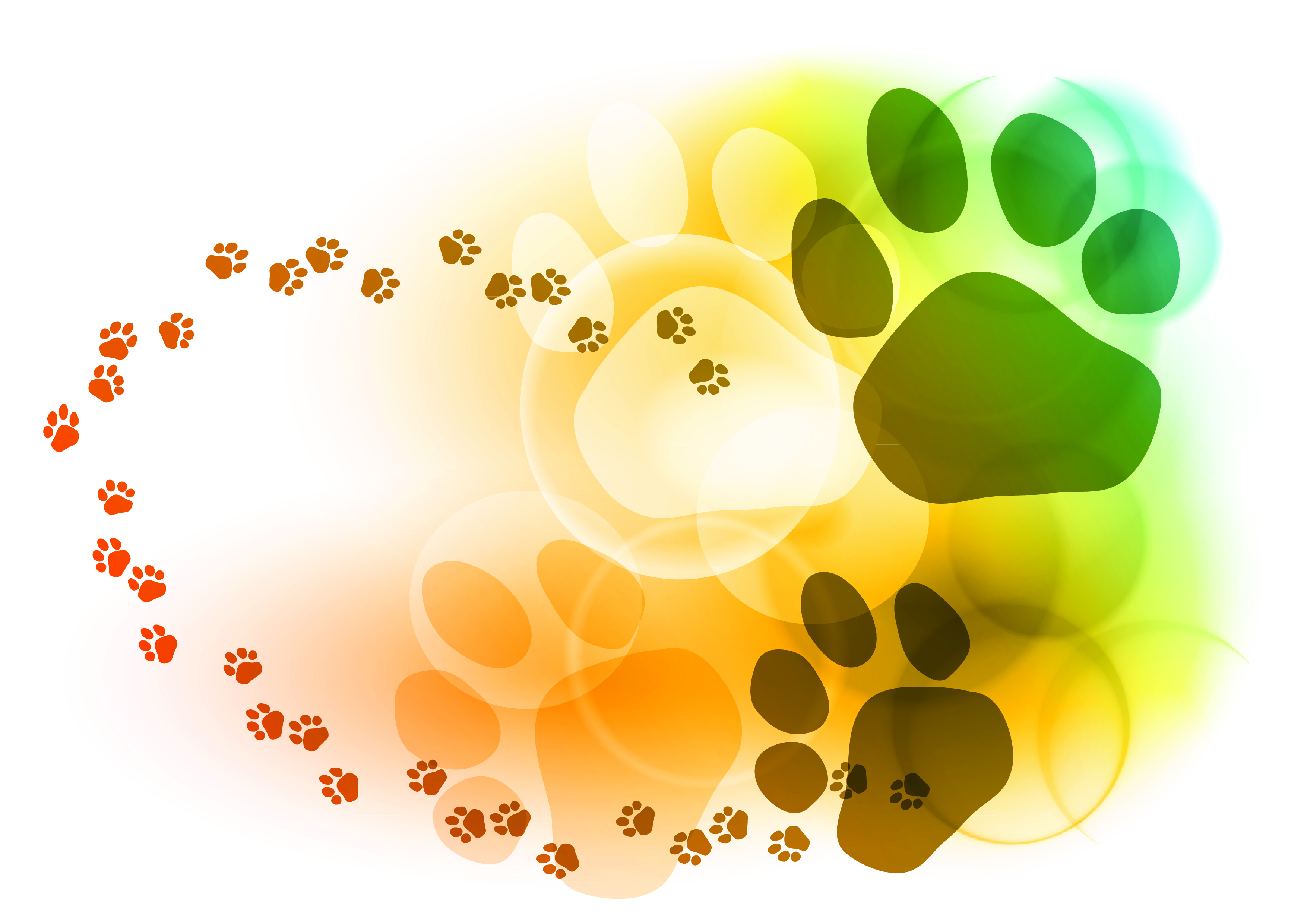 colorful bubbles footprints background vector