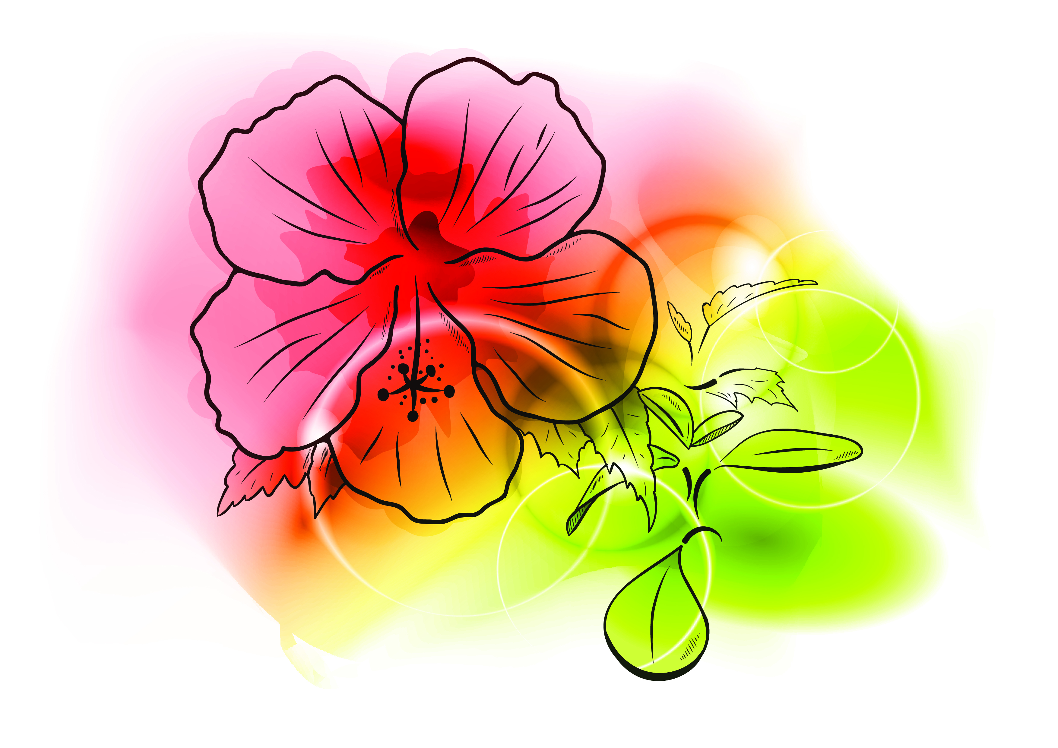 colorful flowers background vector