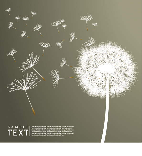 dandelion background flying white petals decor