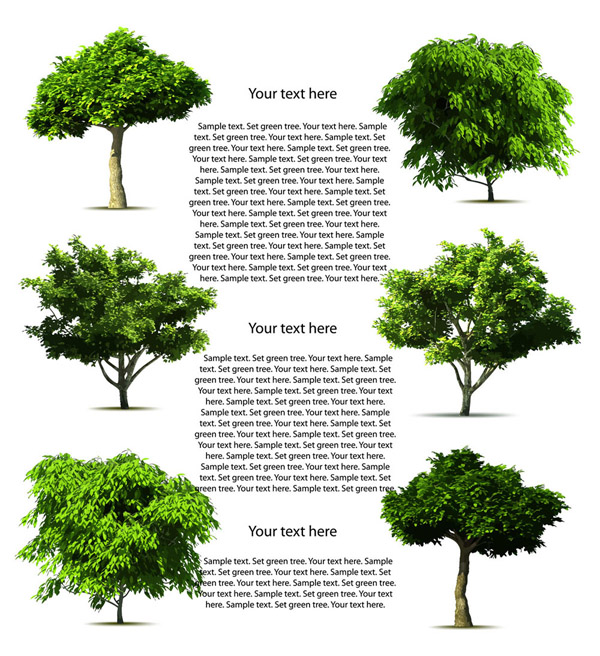 ecological background template modern green trees sketch