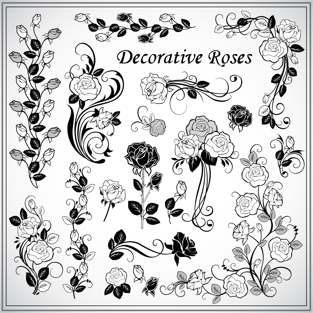 decorative roses elements elegant black white classic handdrawn