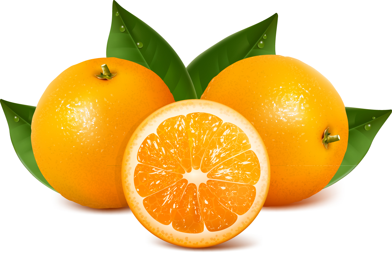 orange fruit background shiny modern realistic sketch