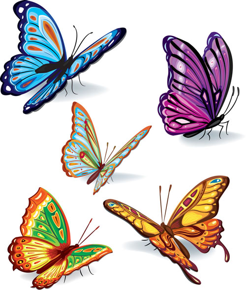 butterflies icons colorful modern 3d sketch