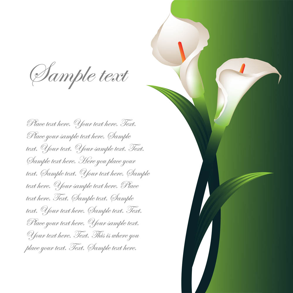 calla lily card background modern elegant realistic decor