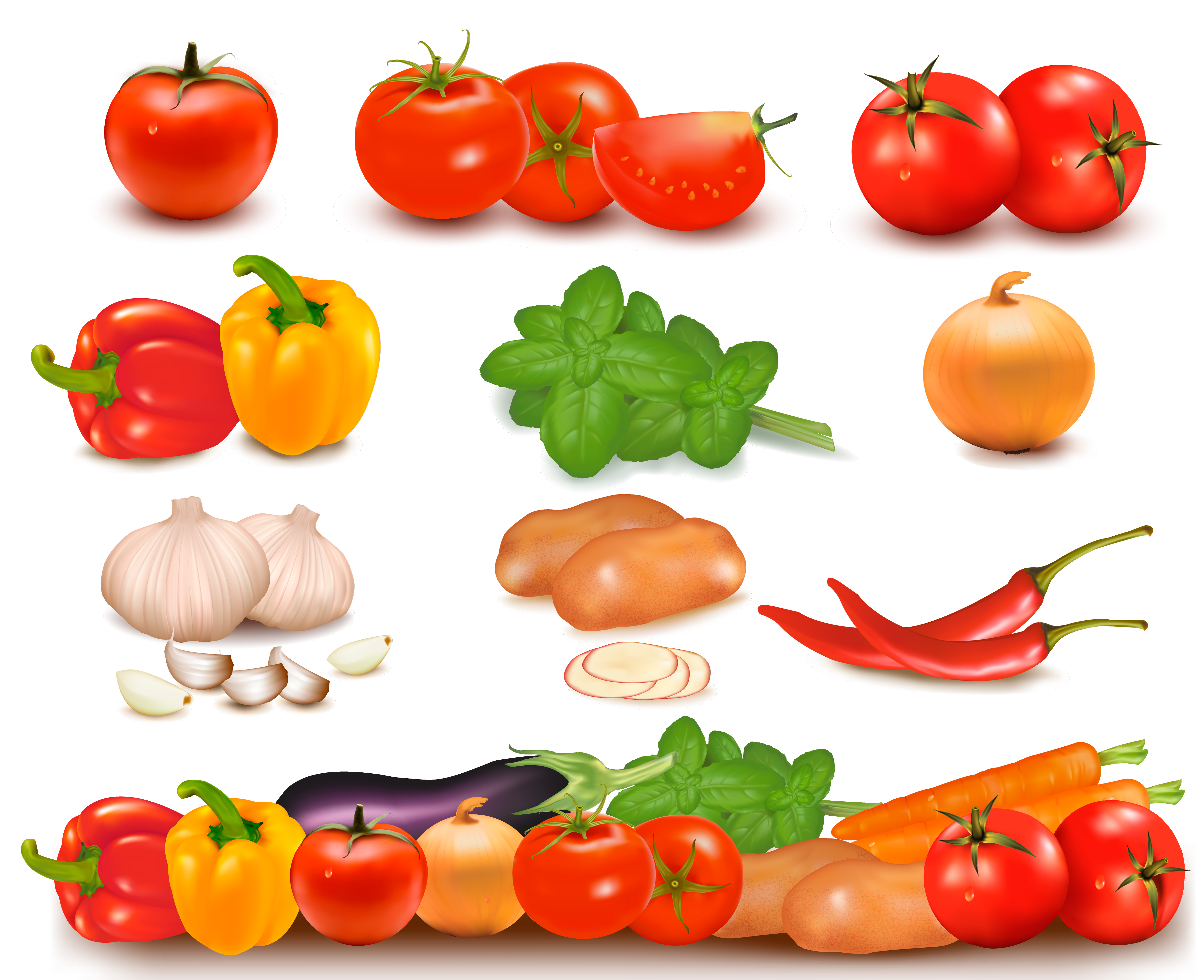 vegetables image 01 vector