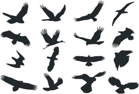 bird silhouette vector