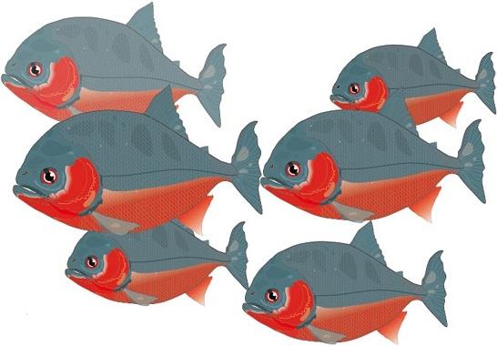 piranha fishes drawing colorful cartoon style