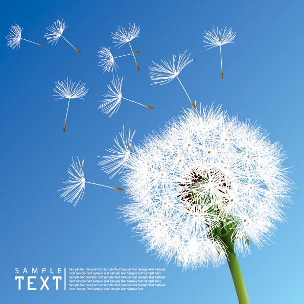 dandelion vector 5