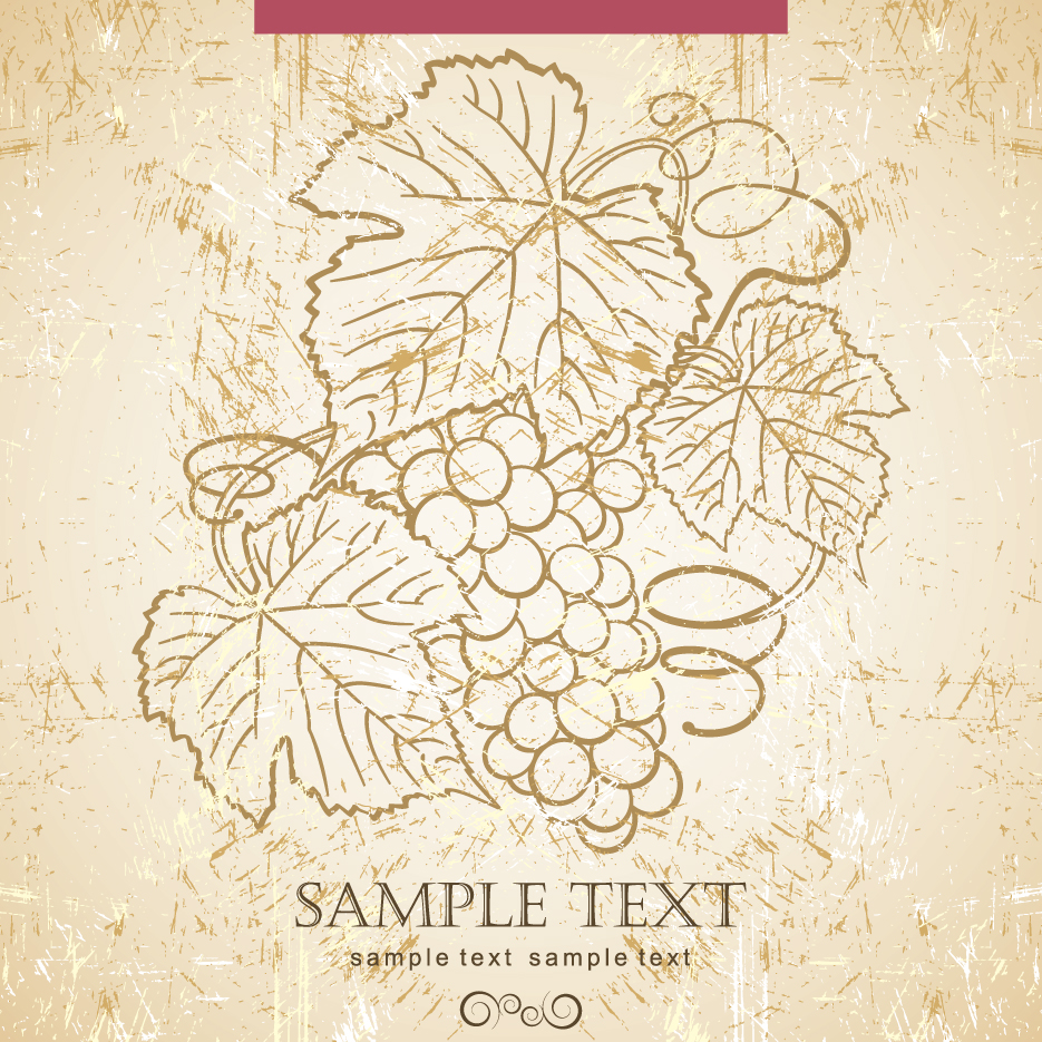 grape wine background handdrawn vintage sketch