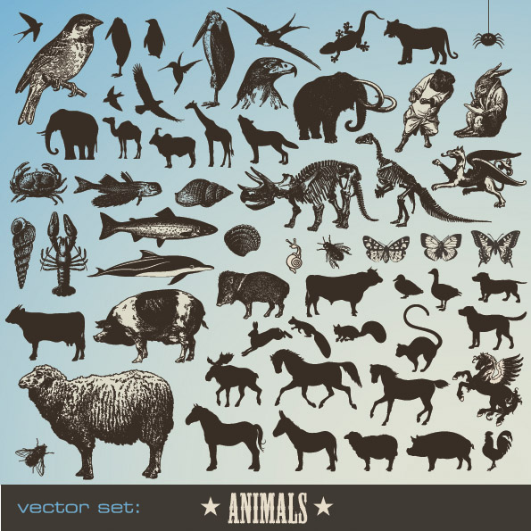 animal banner colored silhouette stylized icons decor