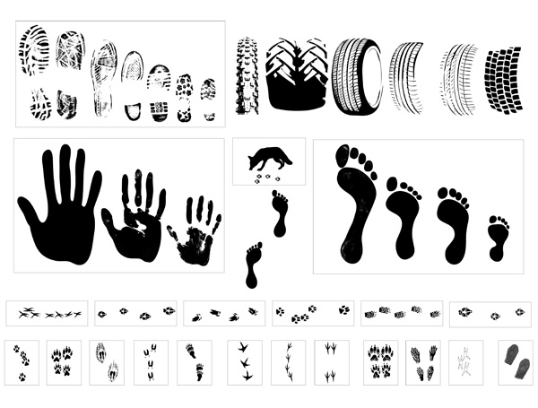 vector traces of footprints tires