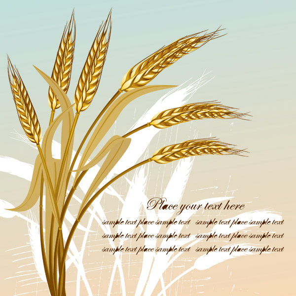 wheat decoration icons golden color various style design