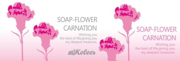 carnation banner vector