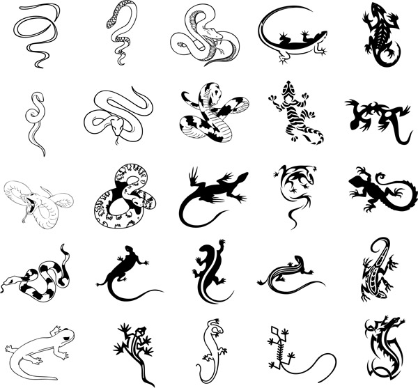 reptile mollusks species icons black white sketch