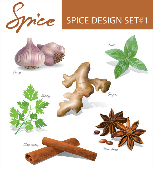 spices vector