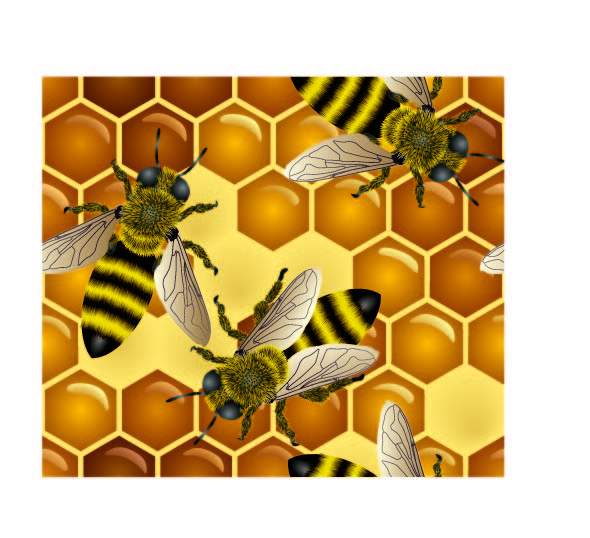 bee honey honeycomb vector