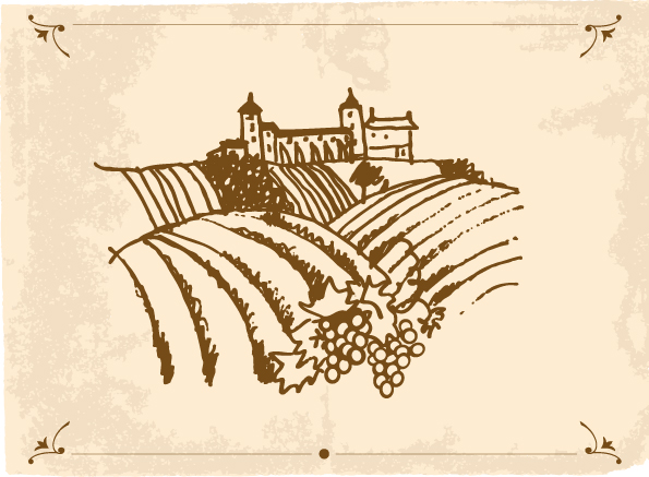 grape farm design elements retro handdrawn sketch