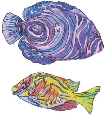 hand drawn marine fish watercolor vector